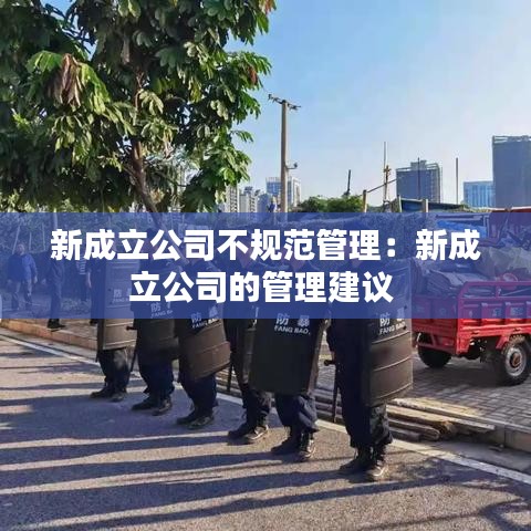 新成立公司不规范管理：新成立公司的管理建议 