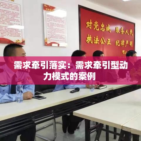 需求牵引落实：需求牵引型动力模式的案例 