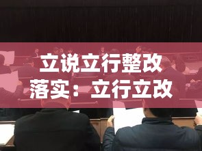 立说立行整改落实：立行立改落实情况 