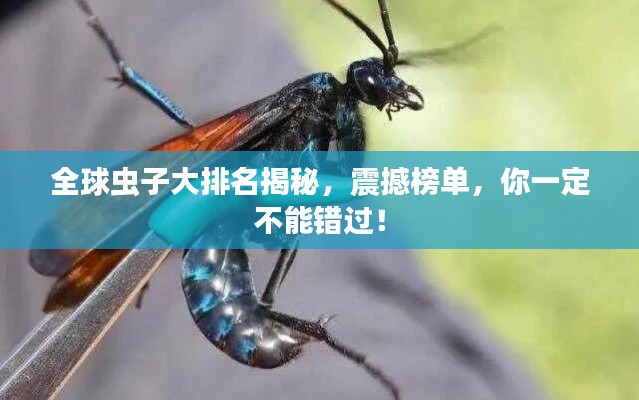 全球虫子大排名揭秘，震撼榜单，你一定不能错过！