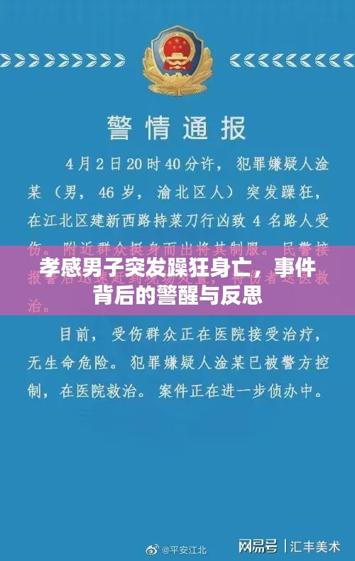 孝感男子突发躁狂身亡，事件背后的警醒与反思