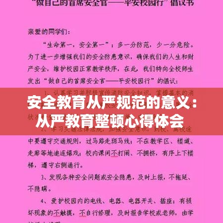 安全教育从严规范的意义：从严教育整顿心得体会 