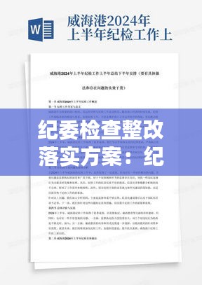 纪委检查整改落实方案：纪检问题整改报告 