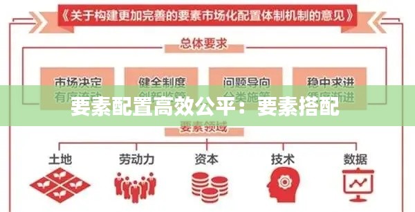 要素配置高效公平：要素搭配 