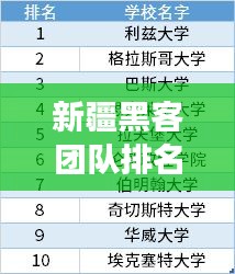 新疆黑客团队排名揭秘，TOP 10榜单重磅出炉！