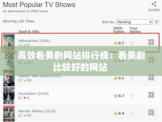 高效看美剧网站排行榜：看美剧比较好的网站 