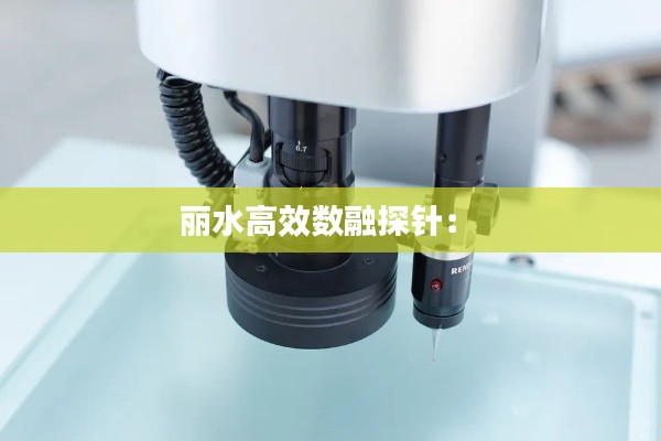 丽水高效数融探针： 