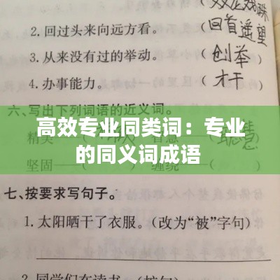 高效专业同类词：专业的同义词成语 