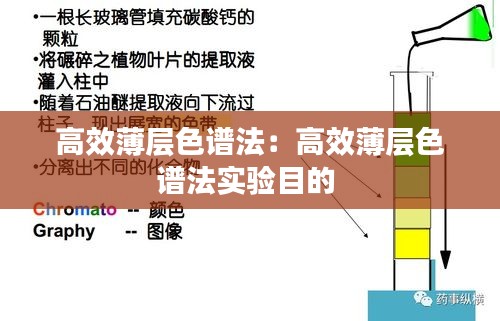 高效薄层色谱法：高效薄层色谱法实验目的 