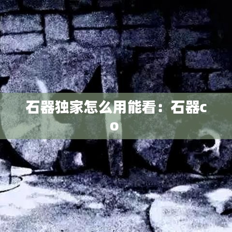 石器独家怎么用能看：石器co 