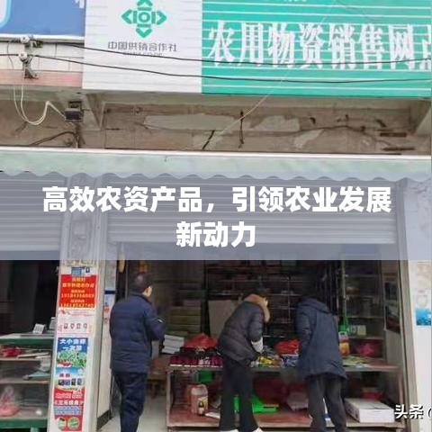 高效农资产品，引领农业发展新动力