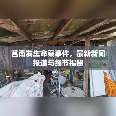 莒南发生命案事件，最新新闻报道与细节揭秘