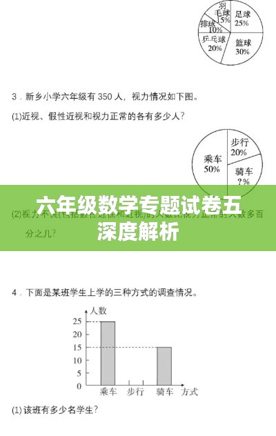 六年级数学专题试卷五深度解析