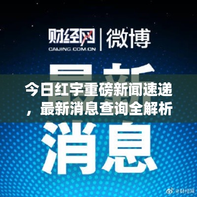 今日红宇重磅新闻速递，最新消息查询全解析