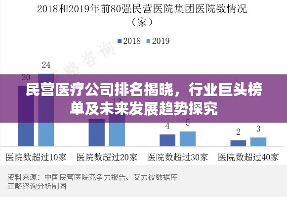 民营医疗公司排名揭晓，行业巨头榜单及未来发展趋势探究