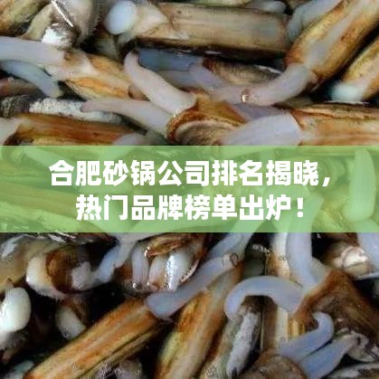 合肥砂锅公司排名揭晓，热门品牌榜单出炉！