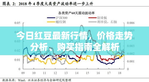 今日红豆最新行情，价格走势分析、购买指南全解析