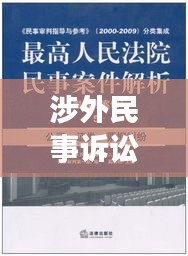 涉外民事诉讼程序深度解析，专题探讨揭秘