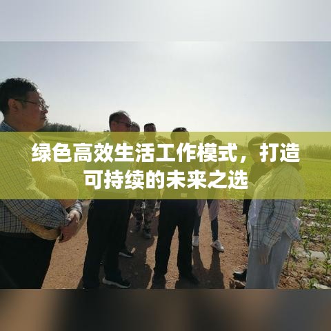 绿色高效生活工作模式，打造可持续的未来之选