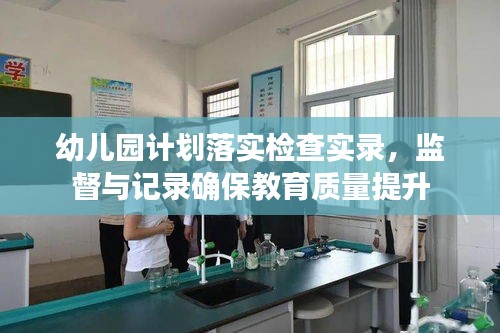 幼儿园计划落实检查实录，监督与记录确保教育质量提升