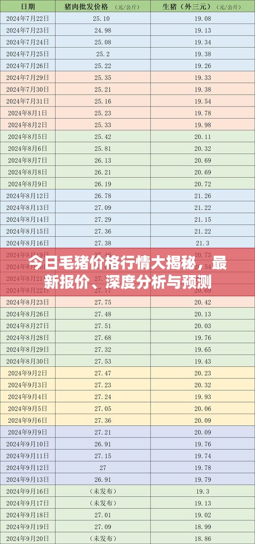 今日毛猪价格行情大揭秘，最新报价、深度分析与预测