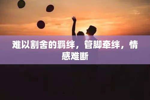 难以割舍的羁绊，管脚牵绊，情感难断