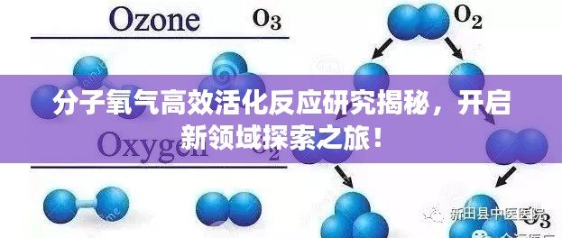 分子氧气高效活化反应研究揭秘，开启新领域探索之旅！