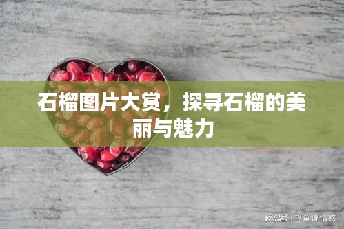 石榴图片大赏，探寻石榴的美丽与魅力