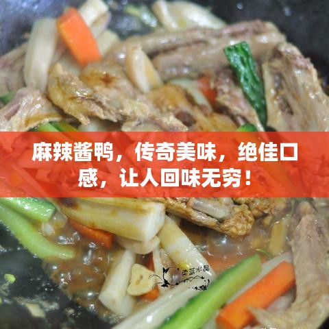 麻辣酱鸭，传奇美味，绝佳口感，让人回味无穷！