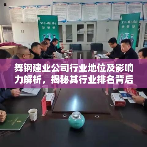 舞钢建业公司行业地位及影响力解析，揭秘其行业排名背后的实力与影响力