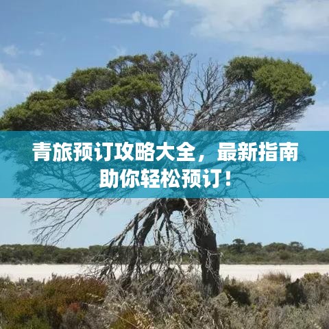 青旅预订攻略大全，最新指南助你轻松预订！