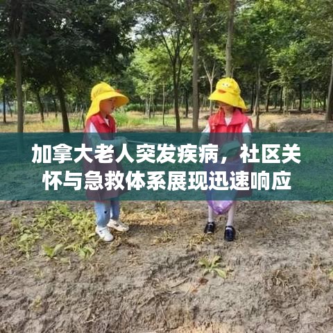 加拿大老人突发疾病，社区关怀与急救体系展现迅速响应