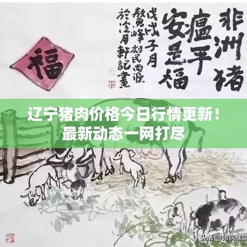 辽宁猪肉价格今日行情更新！最新动态一网打尽