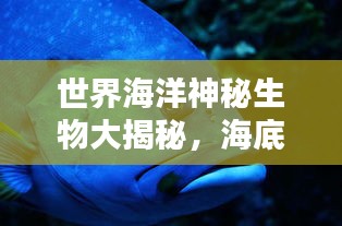 世界海洋神秘生物大揭秘，海底生物的未知排名，探索未知世界！