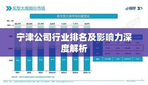 宁津公司行业排名及影响力深度解析