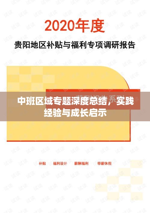 中班区域专题深度总结，实践经验与成长启示