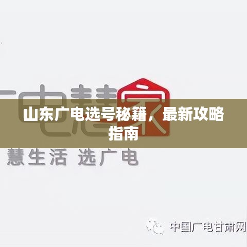 山东广电选号秘籍，最新攻略指南