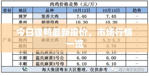 今日骡鸭最新报价，市场行情一览