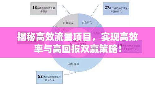 揭秘高效流量项目，实现高效率与高回报双赢策略！