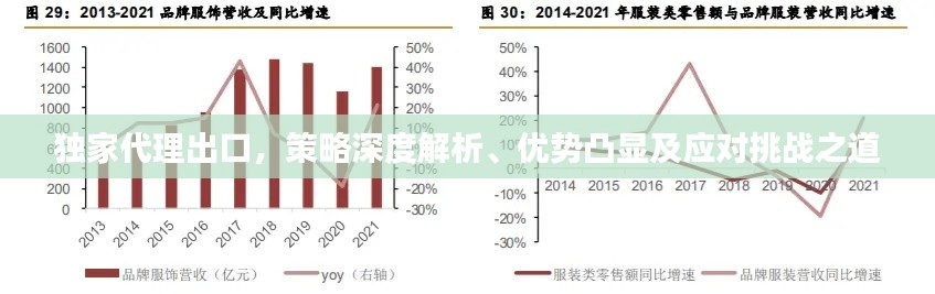 独家代理出口，策略深度解析、优势凸显及应对挑战之道