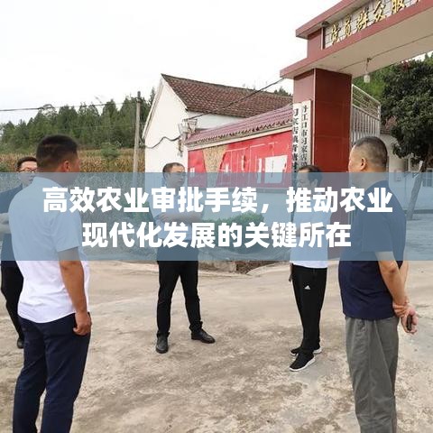 高效农业审批手续，推动农业现代化发展的关键所在