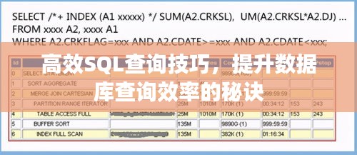 高效SQL查询技巧，提升数据库查询效率的秘诀