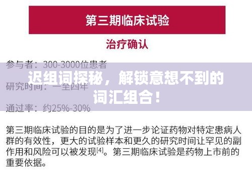 迟组词探秘，解锁意想不到的词汇组合！