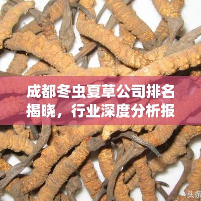 成都冬虫夏草公司排名揭晓，行业深度分析报告