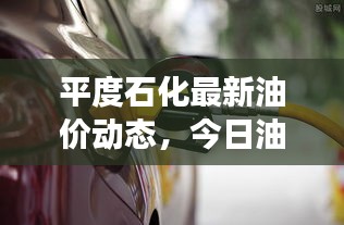 平度石化最新油价动态，今日油价表、市场反应及趋势分析