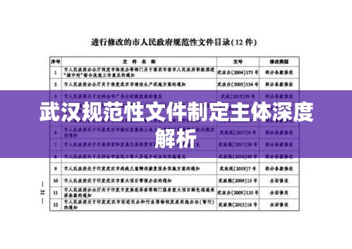 武汉规范性文件制定主体深度解析