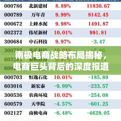 南极电商战略布局揭秘，电商巨头背后的深度报道与未来展望