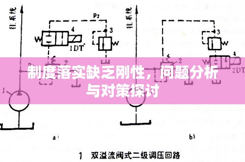 制度落实缺乏刚性，问题分析与对策探讨