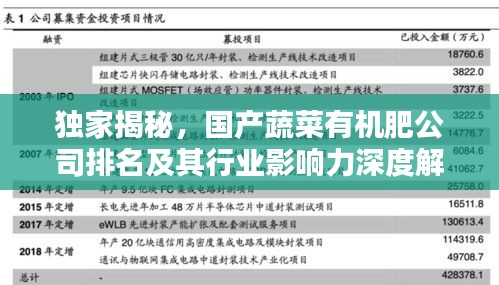 独家揭秘，国产蔬菜有机肥公司排名及其行业影响力深度解析