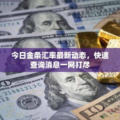 今日金条汇率最新动态，快速查询消息一网打尽